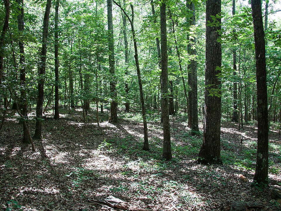 1st image of 1515C Hephzibah - Mcbean Road