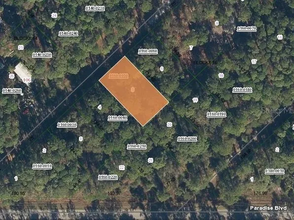 109 SE 3rd St Lot 5, Georgetown, FL 32139