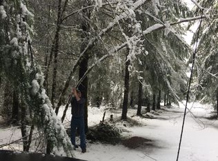 3770 Rose Valley Rd, Kelso, WA 98626