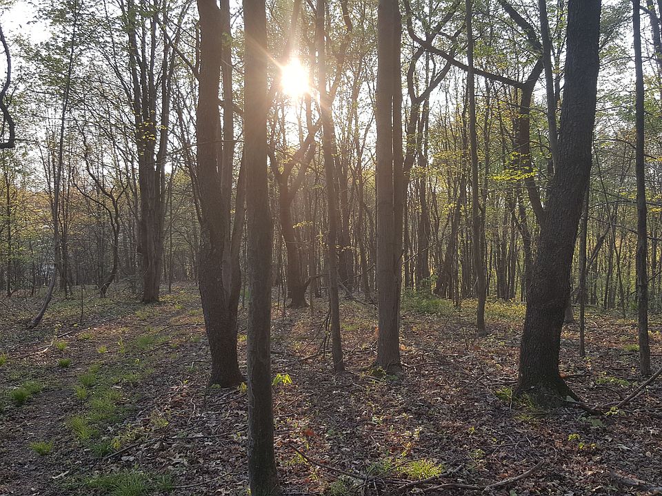 2nd image of 131 Kaufman Rd