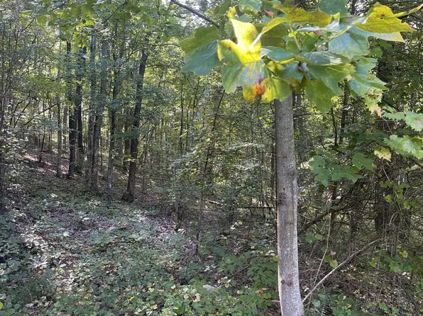 197 Cherokee Winds Dr, Tellico Plains, TN 37385