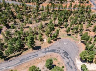 7228 Andromeda Way, Lakeside, AZ 85929