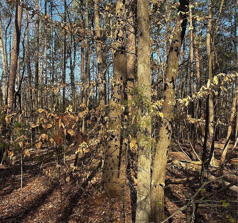 2nd image of 0 Alpine way