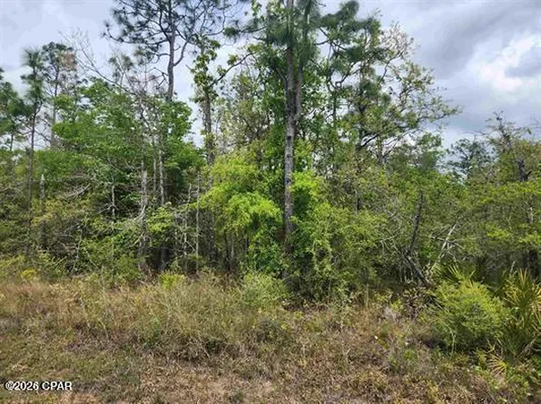 NW Center Lake Rd, Fountain, FL 32438