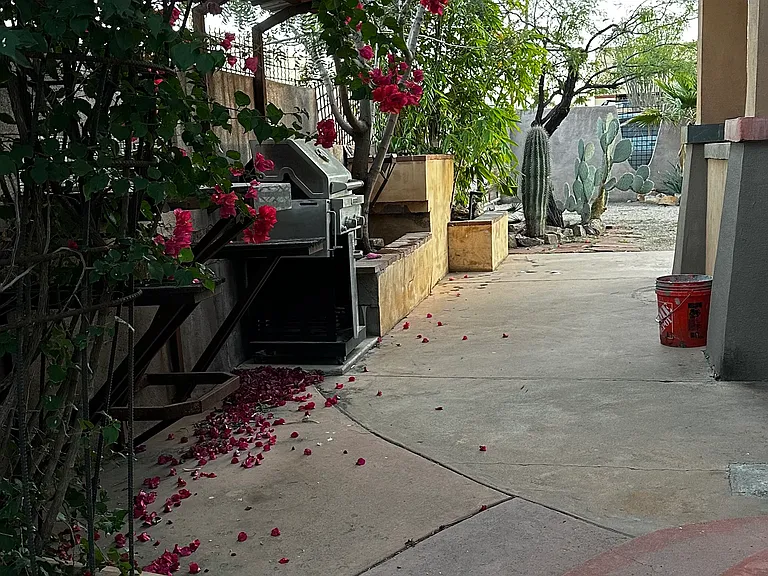 W Adams St — Photo 14