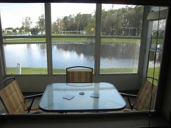 View from Kitchen Window!