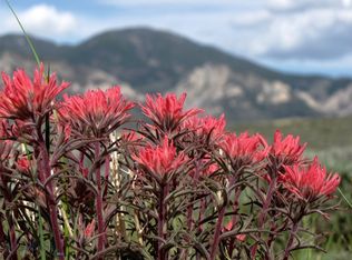 Nhn Meeteetse Trail Rd, Belfry, MT 59008