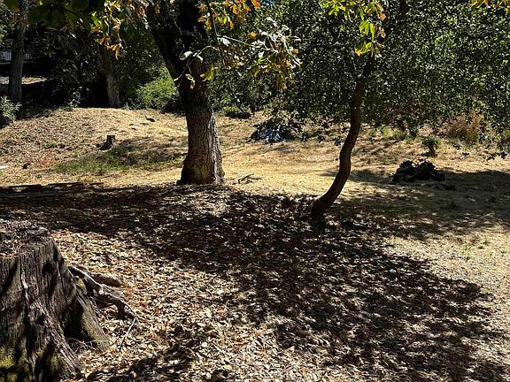 3rd image of Spring Rd