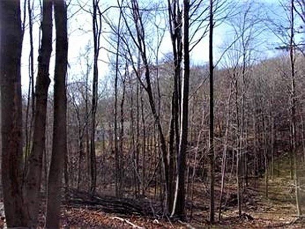 2nd image of 474 Mountain Rd