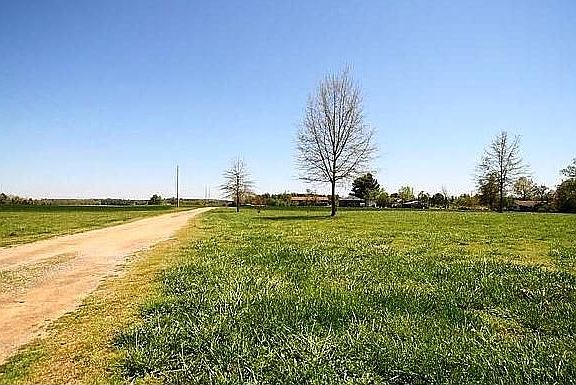 Front yard/Driveway