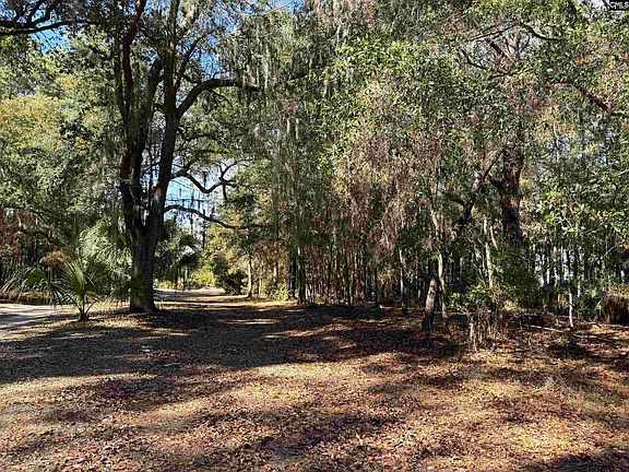 3rd image of 8384 Palmetto Rd