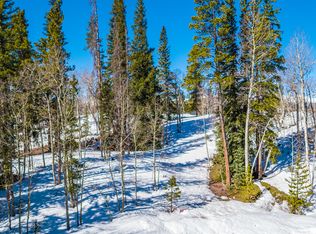 355 Polaris Rd, Fairplay, CO 80440