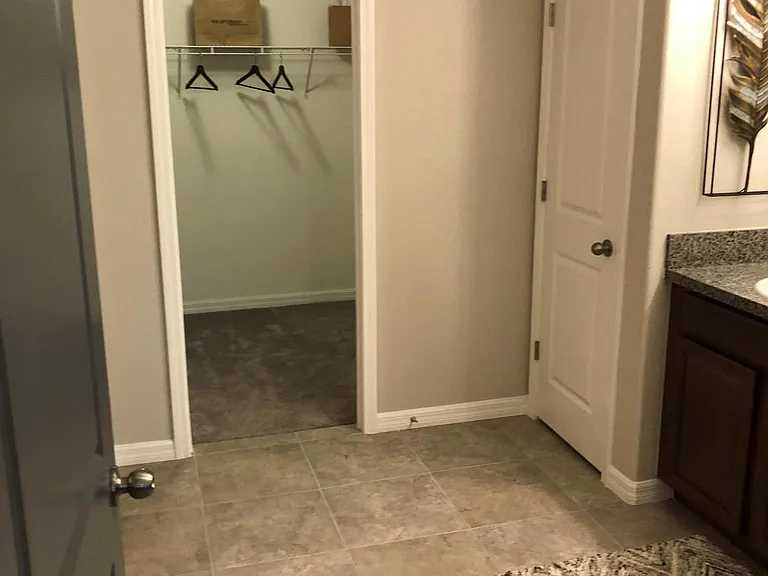 10241 Strawberry Tetra Dr — Photo 12