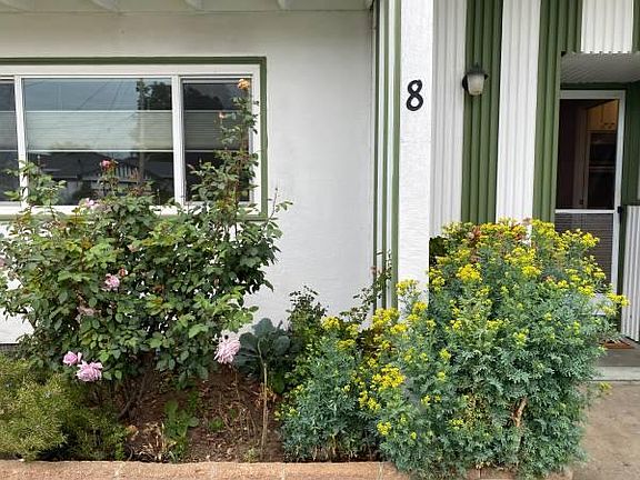 4th image of 8 Gertrude Ct