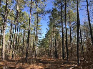 0 Hwy 123, Mitchell, GA 30820