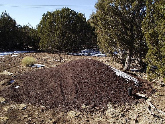 4th image of 2029 E Arizona St