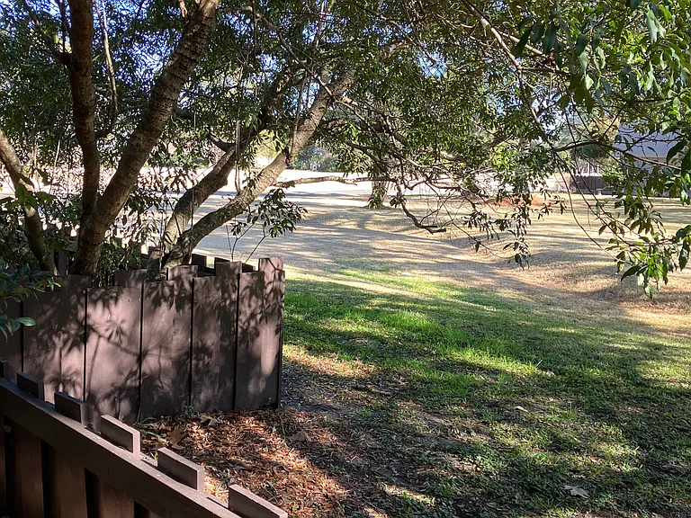 904 Ventura Pl — Photo 3