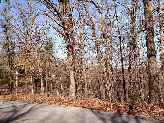 4th image of Blueberry Ln