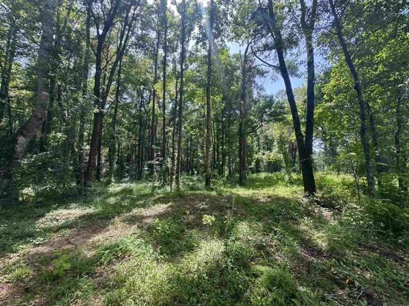 Rs 9&10 Jh Jenkins Ln, Denham Springs, LA 70706