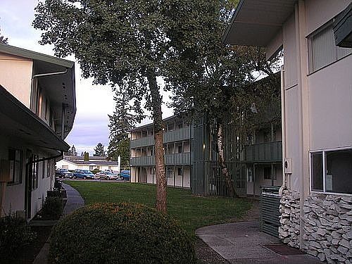 4th image of 3502 92nd St S