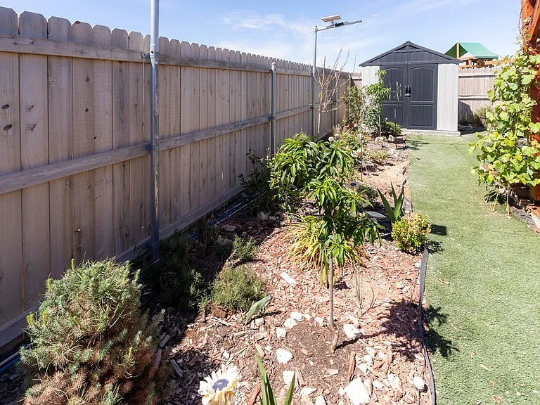 7710 Purple Vitex — Photo 44
