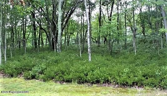 2nd image of Erii 397 8 Crooked Stick Ln