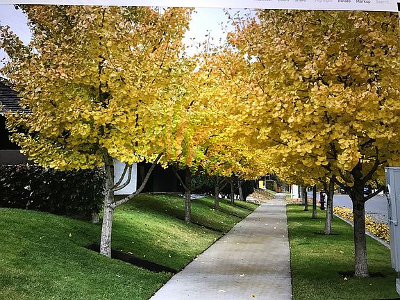 4th image of 6000 Knox Ave S