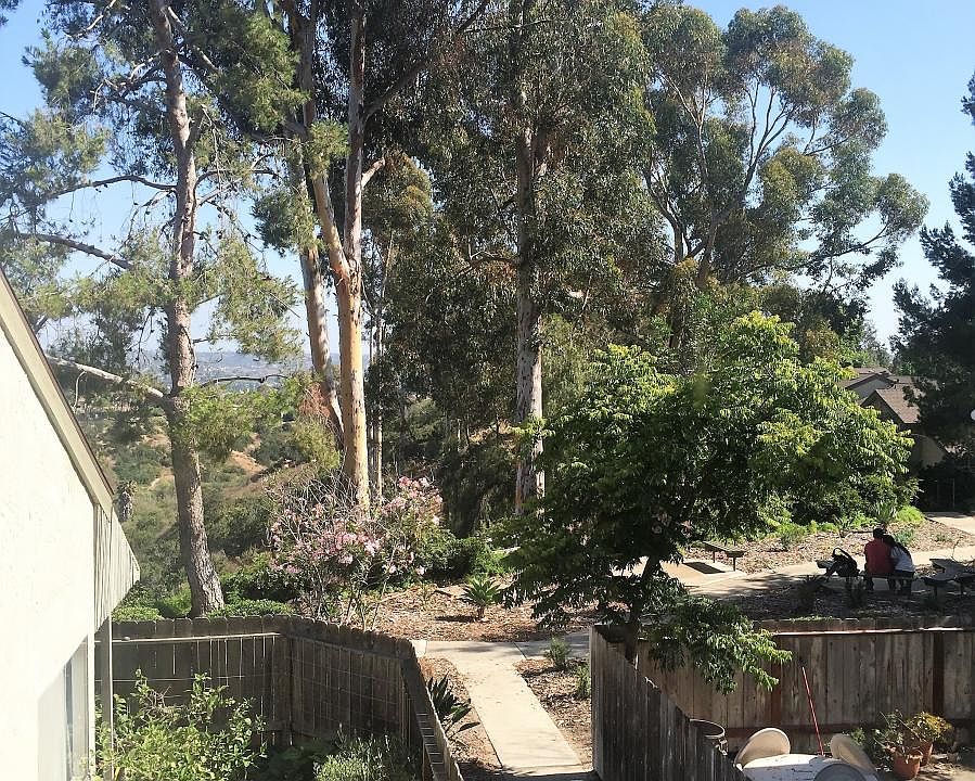 view out back yard