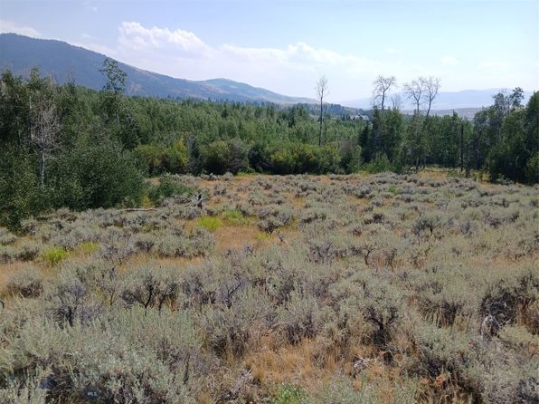 Rainey Mountain Rd, Polaris, MT 59746