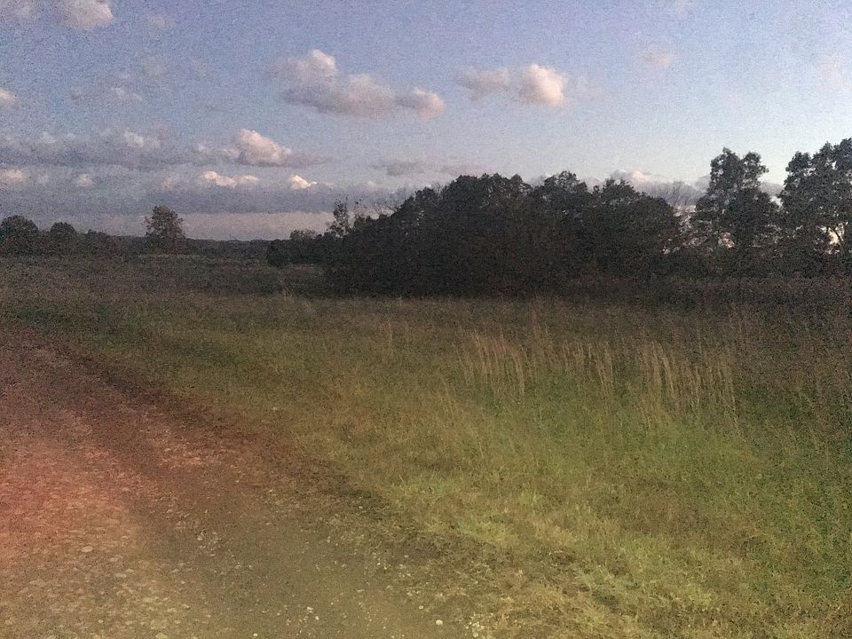 2nd image of 462 Lyons Rd