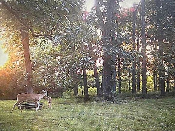 5th image of 5298 Township Road 212
