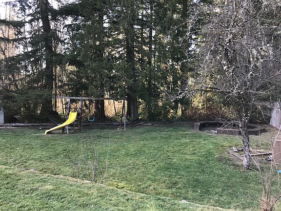 Backyard 2