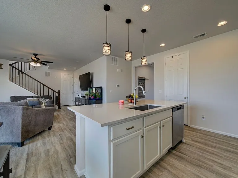 8262 Buffalo Horn Dr — Photo 6