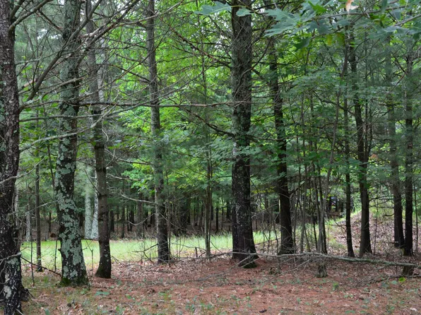 Benson Rd, Grantsburg, WI 54840