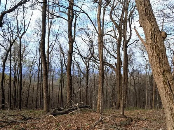 7188 Ridgeview Dr #7188, Jasper, GA 30143