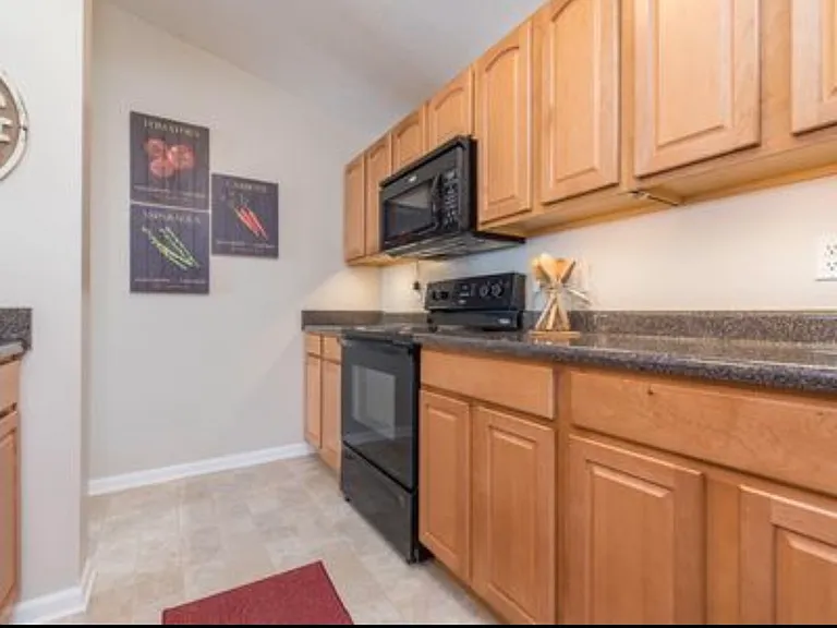 2312 Remington Way #3301 — Photo 10