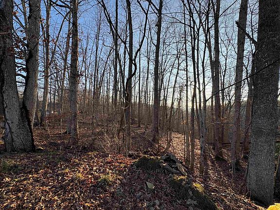 4th image of 0 Polecat Rd