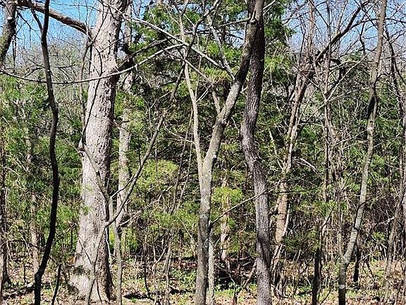 4th image of 185 Wilderness Trl