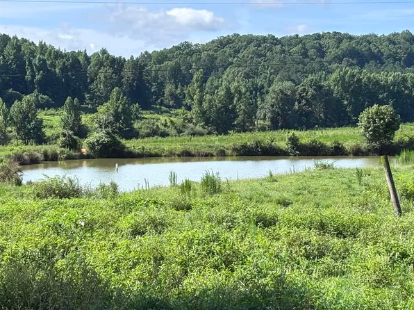 County Road 611, Valley Head, AL 35989