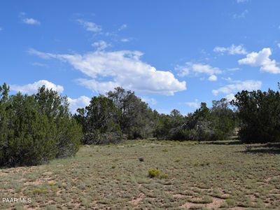 53570 N Via De Oro Pkwy, Seligman, AZ, 86337
