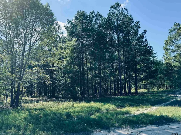 2609 N Fm 346, Bullard, TX 75757