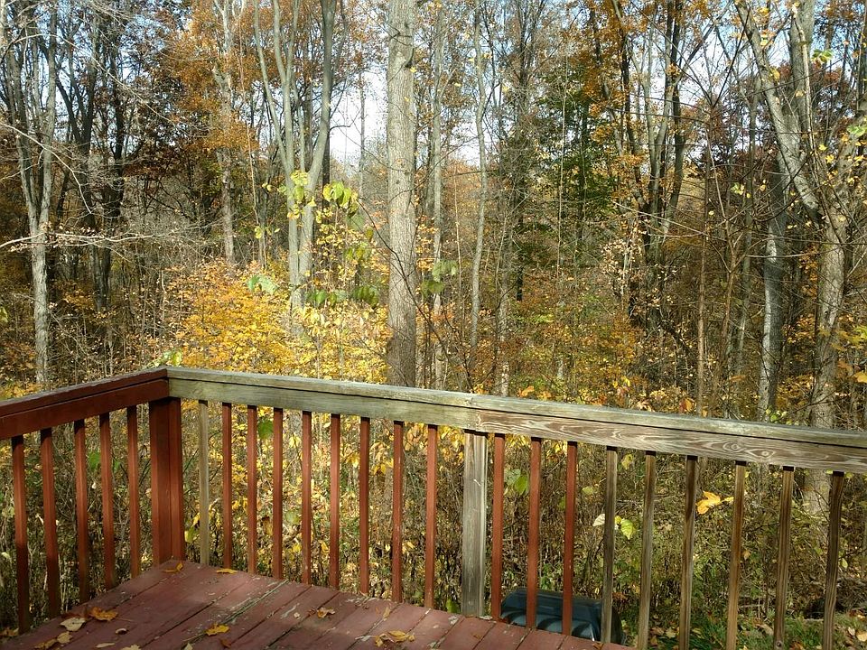 Back deck with private wooded view