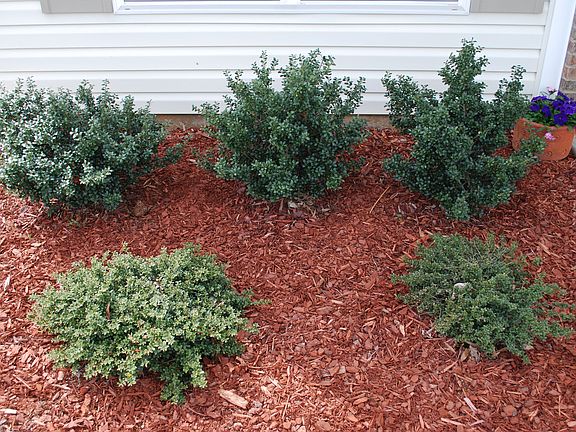 Beautifully Landscaped