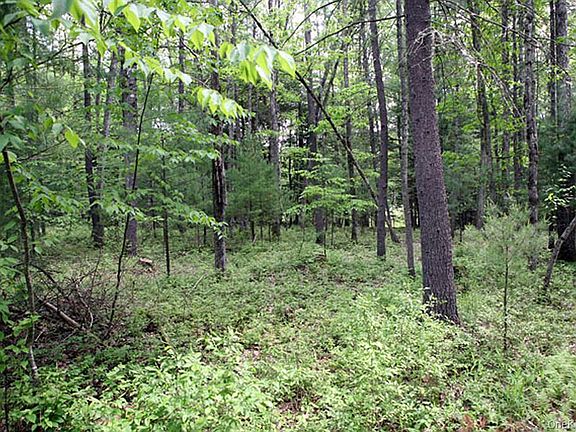 2nd image of 0 Neighborhood Road