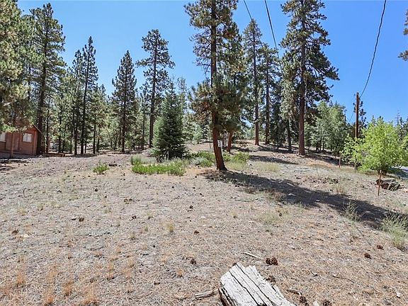 2nd image of 39823 Crocus Dr