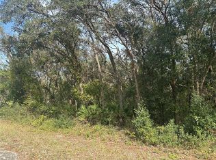 9114 Realstone Dr #35, Webster, FL 33597