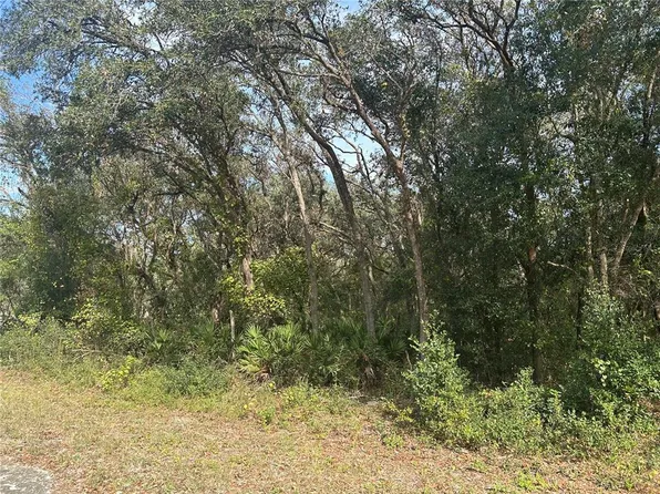 9114 Realstone Dr #35, Webster, FL 33597