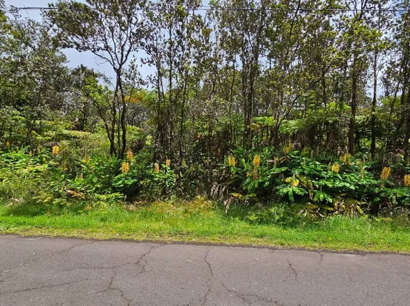Ala Ohia St Lot 53-B-738, Volcano, HI 96785