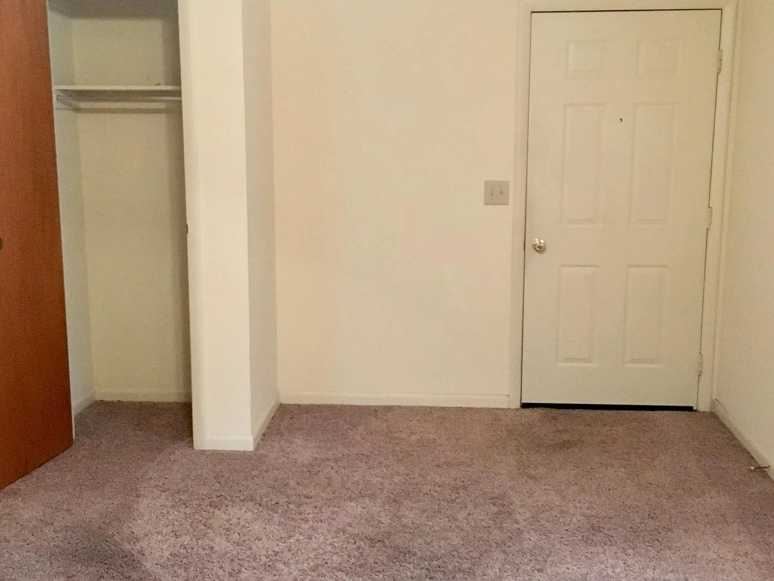 1 bed, $900 — Photo 4