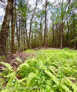 Tbd Laurel Lane, Saugerties, NY, 12477